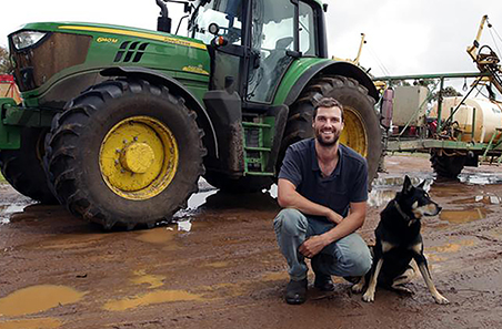 Winter wheat grows profitability