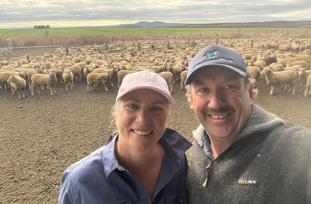 Preparation pays off: Tassie lambs travel clean and calm