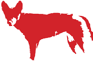 Lifting beef production in Fitzroy Basin through best practice predator management