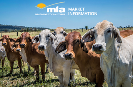 September 2024 Cattle Industry Projections webinar