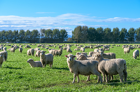 June 2021 survey results 