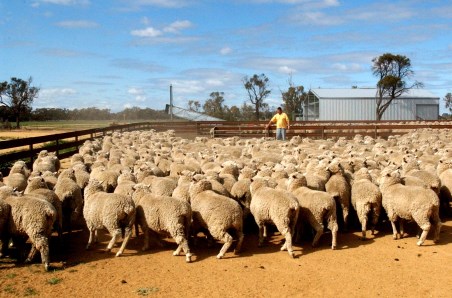 Treatment for PRGT toxicity