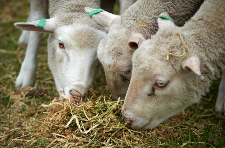 October 2025 survey results