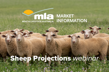 March 2024 Sheep Projections - Webinar
