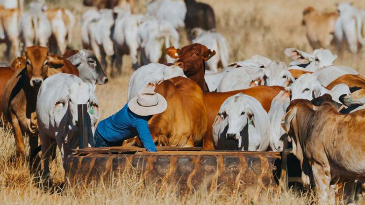 2020–21 Producer Adoption Outcomes Report