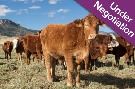 Dag Removal Enzymes solve a costly problem