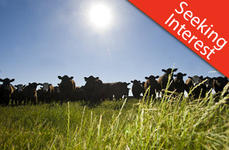 Semipermeable membrane