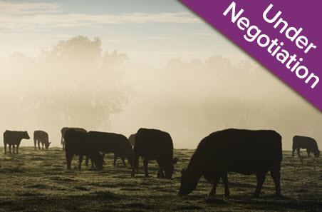 Provide pain relief solutions