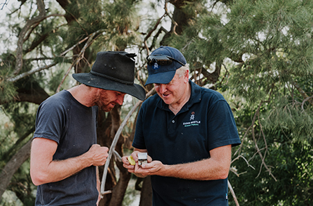 Beetles with benefits