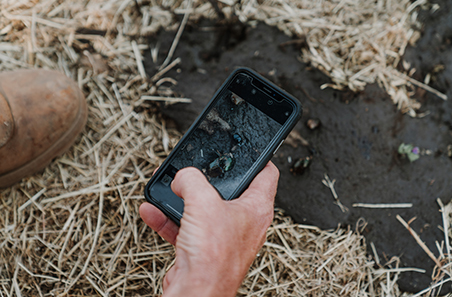 MyDungBeetle Reporter app