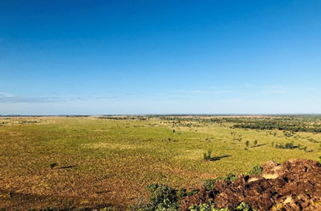 EverGraze - Native pastures