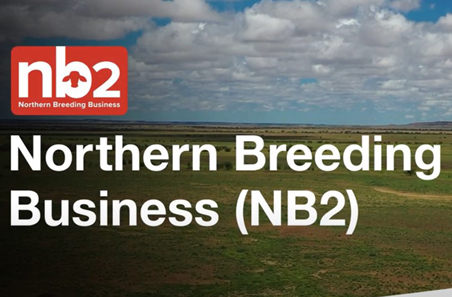 Learn about the Northern Breeding Business (NB2) program