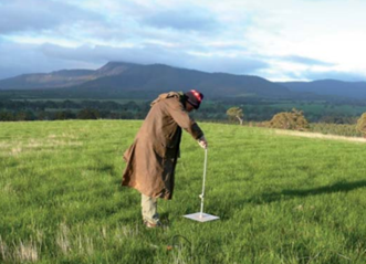Tips & Tools: Strategies to boost the productivity of native pastures