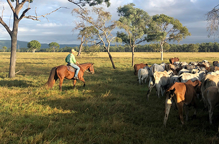 ‘Mystery Park’, St Lawrence, Queensland