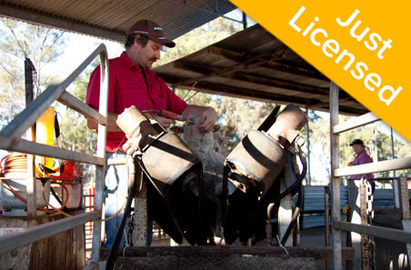 Salmonella Vaccine (UC)