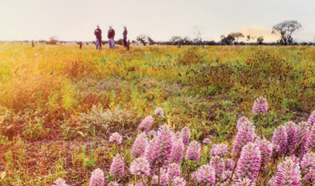 2022–23 Producer Adoption Outcomes Report