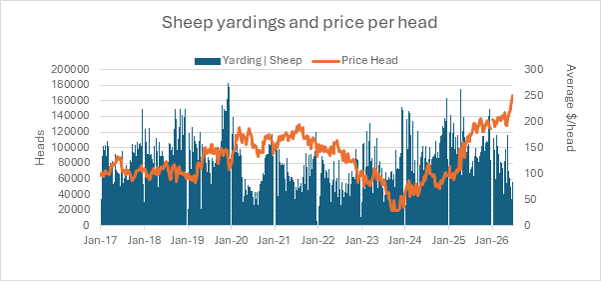 Sheep yardings and price per head 3rd july 2026