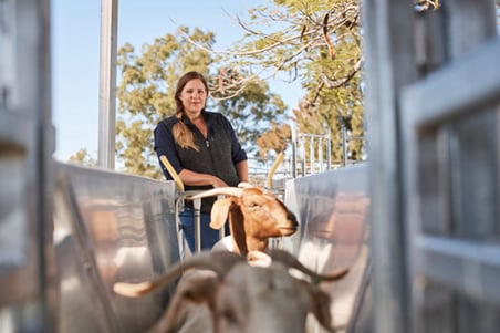 Watch out worms