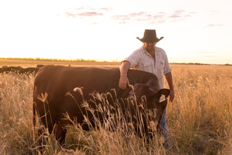 Boost productivity by tackling hidden herd losses