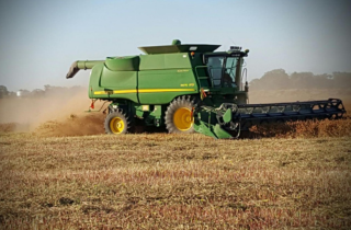 Trialling legumes to boost pastures and profit