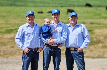 Mixed pastures boost resilience